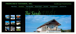 Francisco Tavares Home Page, design, markup and flash.