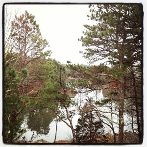 Taken with instagram